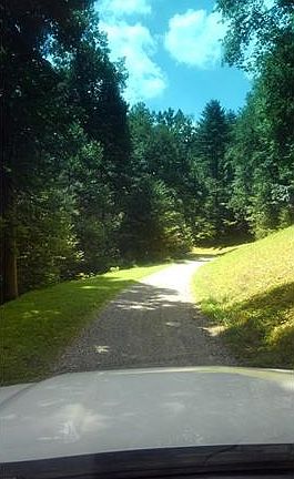 4th image of 447 Flint Gap Dr