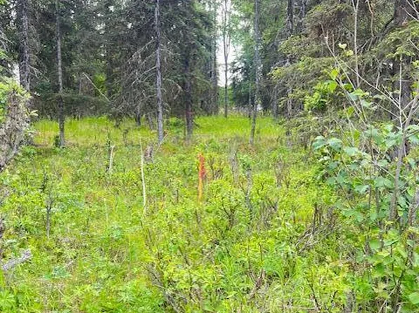 L2 Madsen Ave, Kasilof, AK 99610