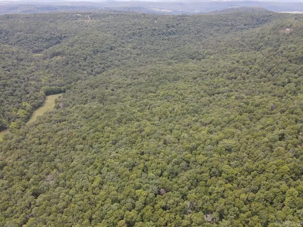(undisclosed Address), Green Forest, AR 72638