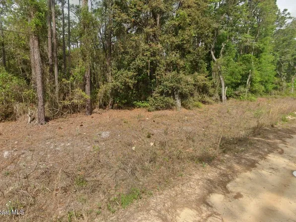 0 Quail Hollow Rd, Satsuma, FL 32189