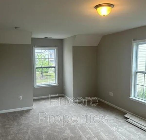 929 Ribbonleaf Ln — Photo 3