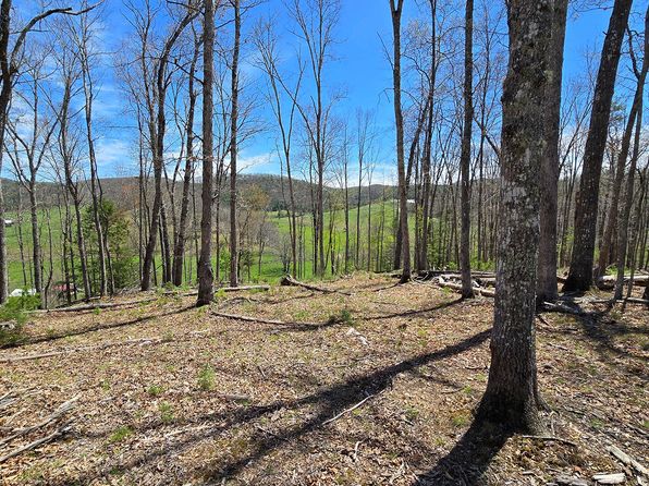 9021 Browns Creek Rd, Dunmore, WV 24934