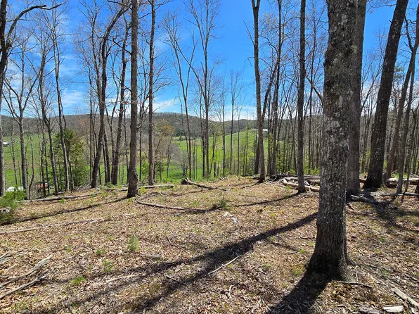 9021 Browns Creek Rd, Dunmore, WV 24934