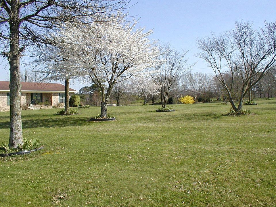 Your Side Lawn ...