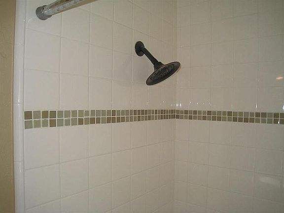Main Bath Shower