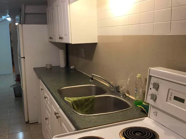 235 Oakwood Ave #BASEMENT — Photo 4