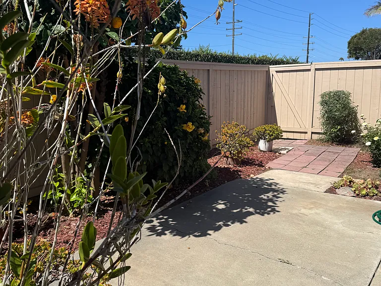 9842 Verde Mar Dr — Photo 37