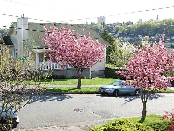 View from front porch, due South