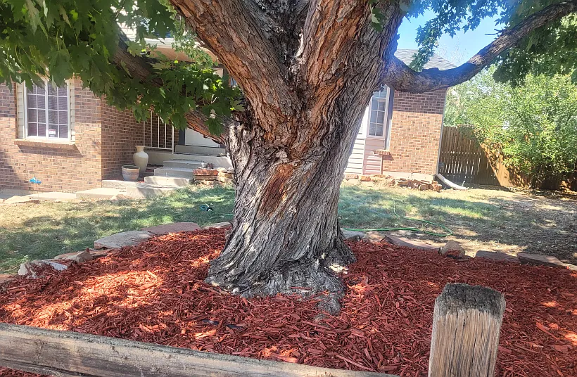 18863 E Milan Pl — Photo 3