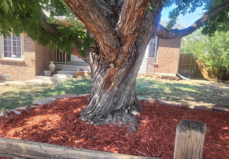 18863 Milan Pl — Photo 2