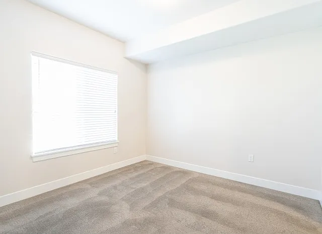 Bedroom with Lush Carpet and Modern Lighting Bedroom with Lush Carpet and Modern Lighting