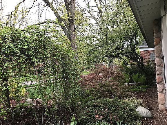 Beautiful trees & plants