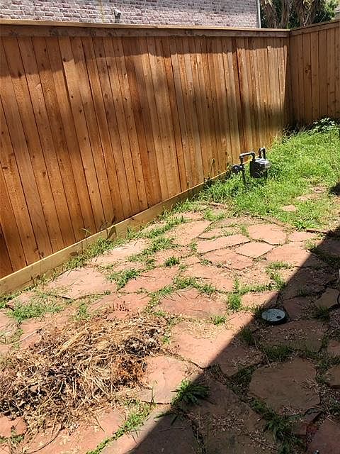 Back yard