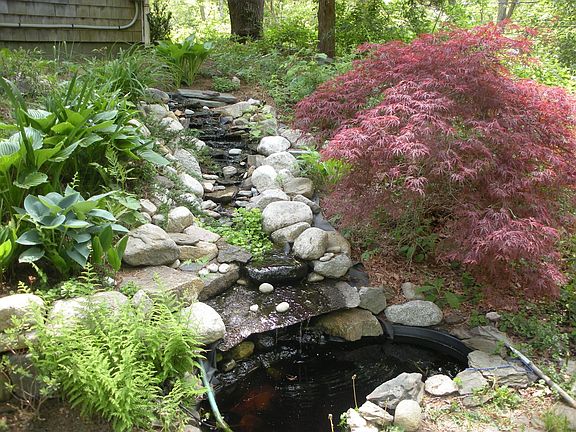 waterfall/goldfish pond