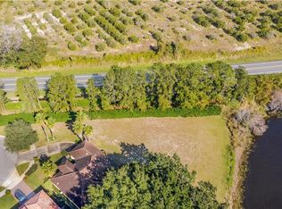 9901 Santa Barbara Ct, Howey In the Hills, FL 34737