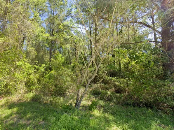 246 SE Pleasure Pl, Lake City, FL 32025