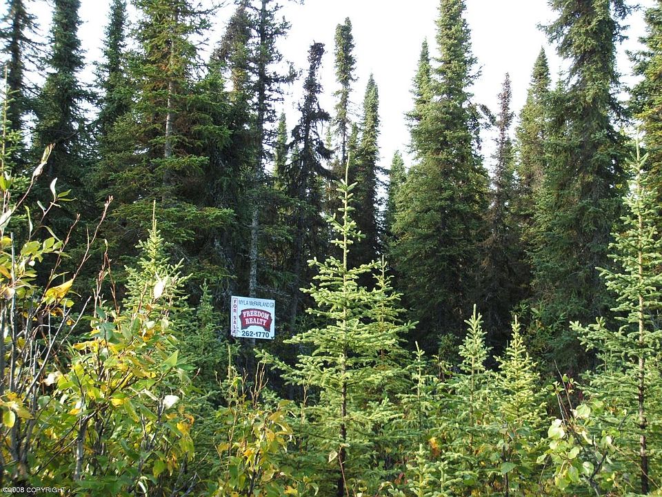 2nd image of L3B Bg Needles Ave