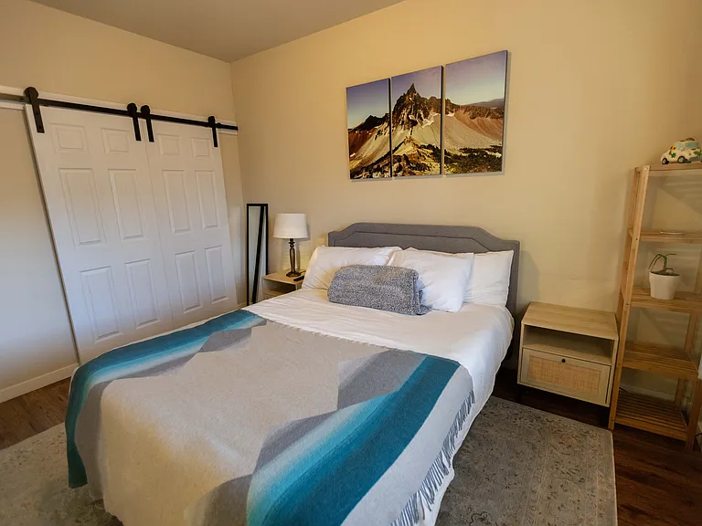 Guest bedroom with additional views of large closet