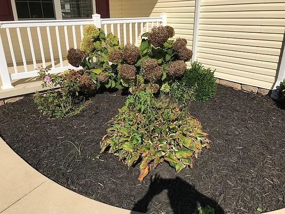 2nd image of 10 Wildflower Dr