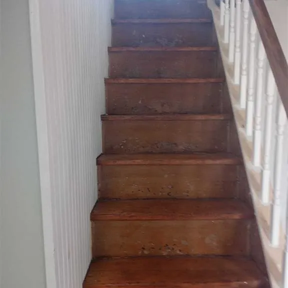 157 Cream St — Photo 19