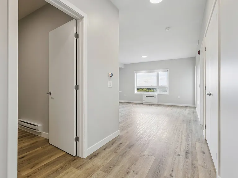 239 Eden Oak Trl — Photo 48