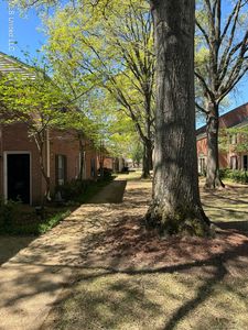 5730 Quince Rd APT 7, Memphis, TN, 38119