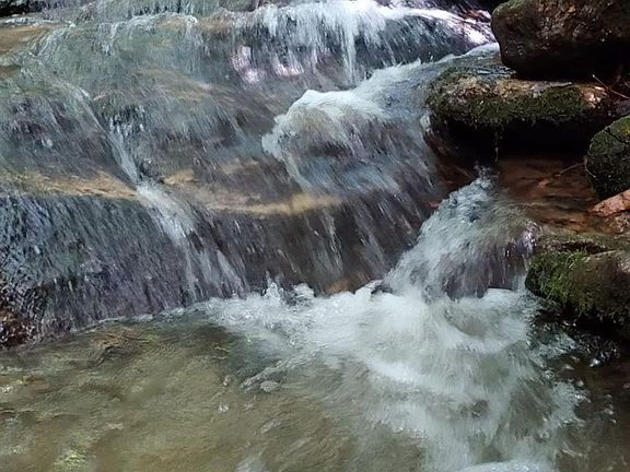 4th image of 745 Broom Rd