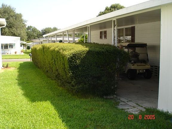 Side View