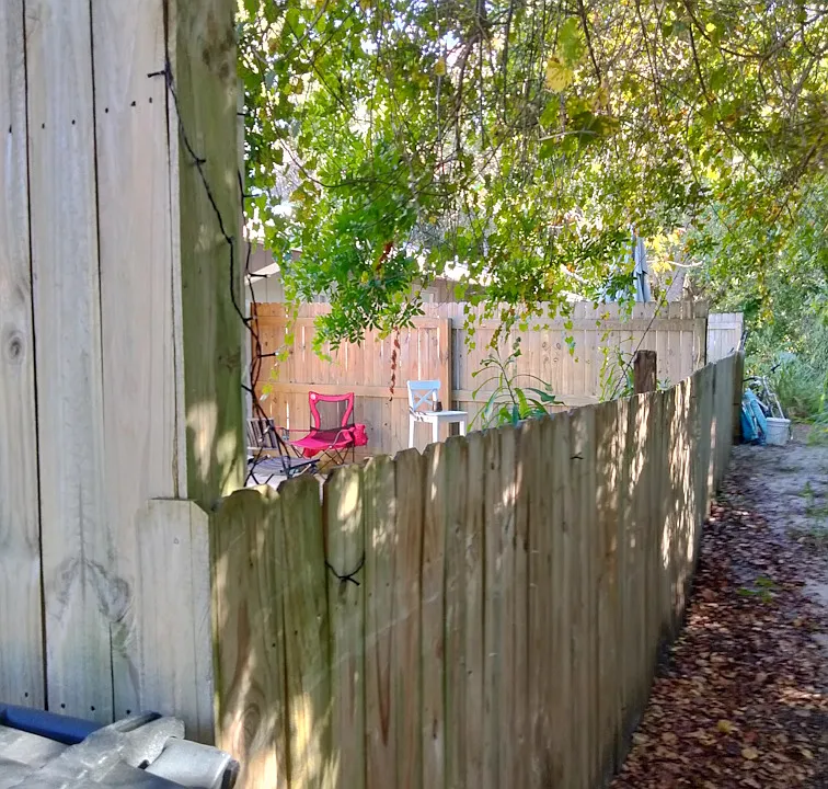 Path between back yard and woods