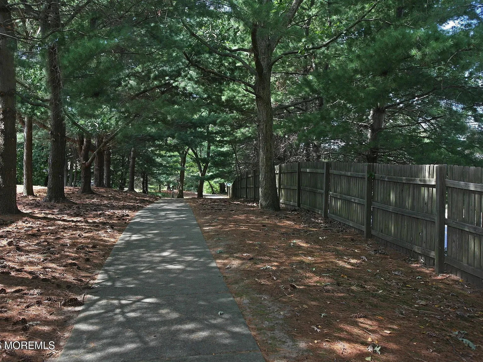 1 bed, $2,600 — Photo 3
