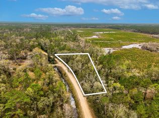 Vacant David Horton Rd, Perry, FL 32348