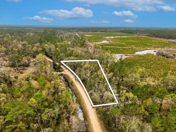 Vacant David Horton Rd, Perry, FL 32348