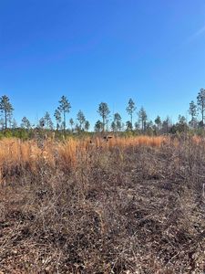 595 Mincey Dr. #Tract 10, Loris, SC, 29569