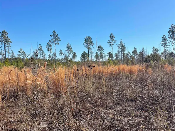 595 Mincey Dr. #Tract 10, Loris, SC 29569