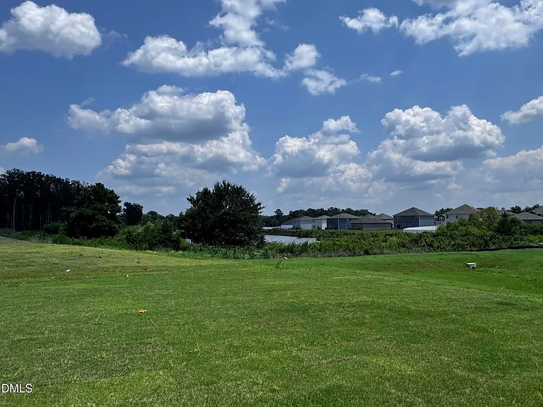 50 Thistle Patch Pl — Photo 19