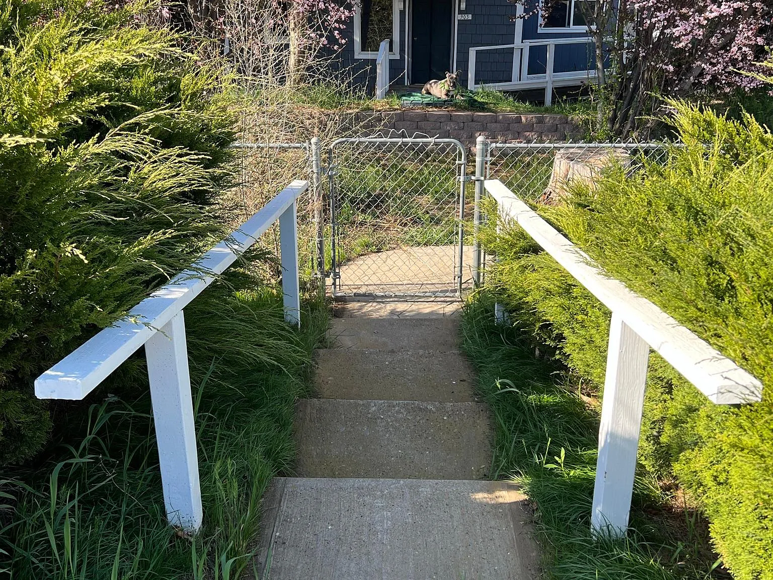 903 W 5th Ave — Photo 2