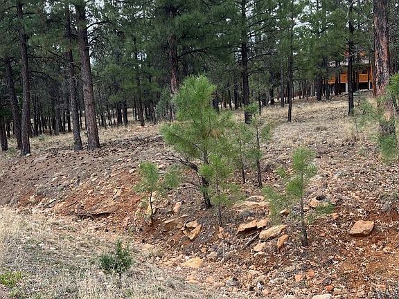 4th image of 2755 Javalina Cir
