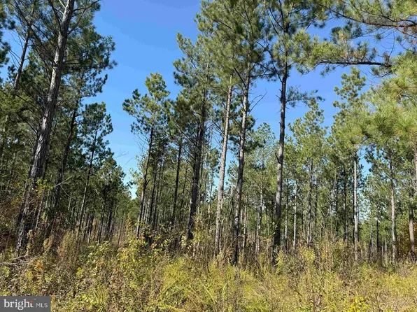 Woodfork Road Route 650 Tract Rogers #4, Charlotte Court House, VA 23923
