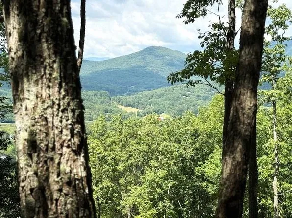 19 Buckhead Hls, Hiawassee, GA 30546