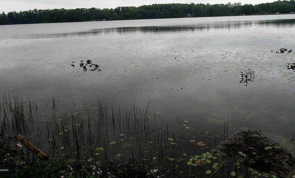 1st image of Bair Lake St