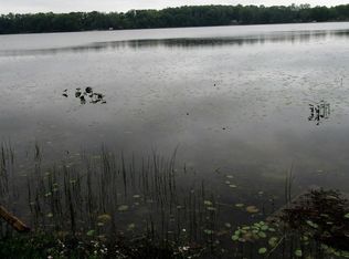 Bair Lake St, Jones, MI