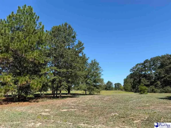 LOT 5 Isaiah Dr, Dillon, SC 29536
