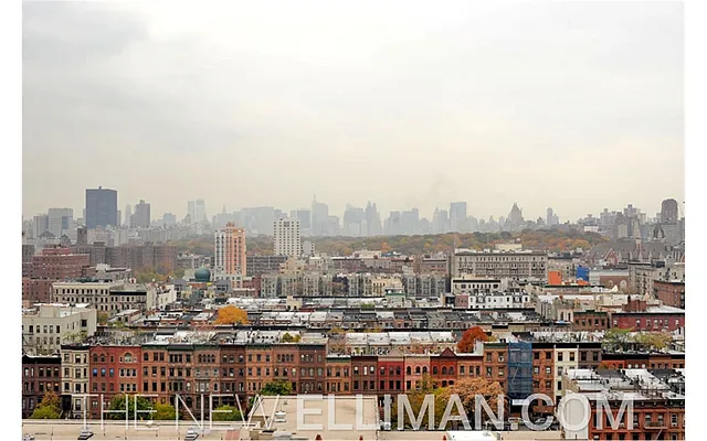 Rented by Douglas Elliman | media 1