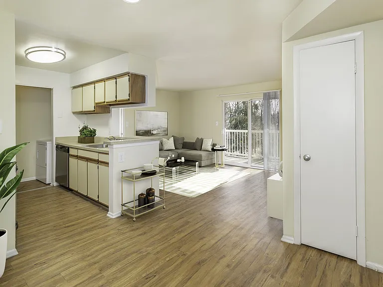 Living area and kitchen