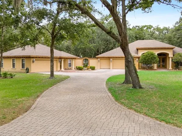 16608 LIVINGSTON AVENUE, LUTZ, FL 33559