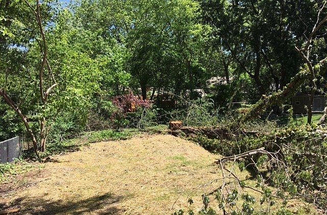 2nd image of 9839 Connell Dr