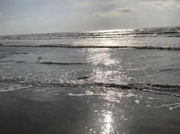 26421 Cat Tail Dr Unit 101, Galveston, TX 77554