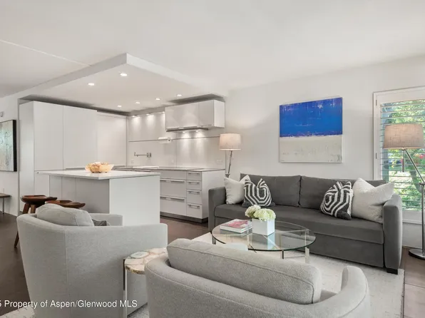 800 E Hopkins Ave APT A3, Aspen, CO 81611