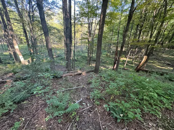 0 Foster Rd, Union Dale, PA 18470