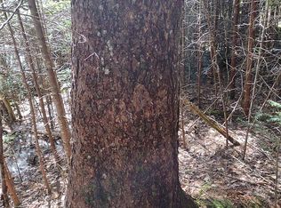 0 Ridge Rd, Marshfield, ME 04654